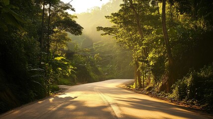 Obraz premium A winding road through a lush forest at dawn.