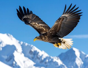 Eagle soaring over snowy mountains