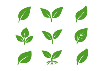 Green leaves icons set in flat style. Collection of leaf silhouettes for environment, nature, eco signs. Organic, vegan, bio, natural product. Ecology plant sprout element.