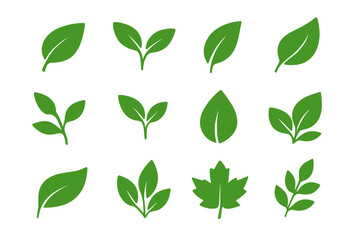 Naklejka premium Green leaf icons vector set. Collection of different plant and sprout silhouettes. For eco, bio, vegan, organic food product. Nature, ecology, environment flat graphic element.
