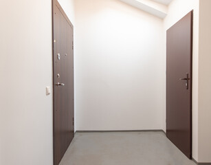 Simple Interior Hallway With Two Closed Wooden Doors in a Minimalist Style