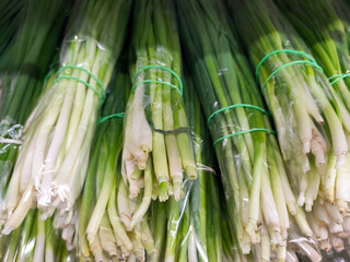 Fresh green onions bundled and wrapped in plastic at grocery store. Healthy seasonal vegetable...