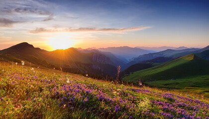 stunning mountain landscape with wildflowers and rolling hills at sunset