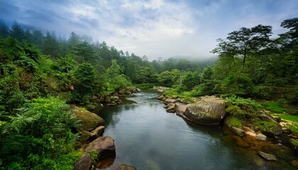 discover the beauty of a tranquil river winding through a dense forest with vibrant greenery and rocky formations nearby perfect for nature lovers and adventurers seeking calmness