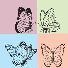 Butterfly slide sketch on colorful solid backgrounds, aesthetic hand-drawn butterfly design, minimal line art, abstract insect vector for wall art, kids decor, fashion print, and stationery design