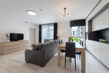 Modern Apartment Living Room with Stylish Furniture Sofa TV Screen and Kitchen