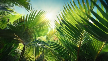 Fototapeta premium lush palm fronds illuminated by sun a tropical paradise with exotic greenery and sunlit flare