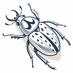 vector illustration of a beetle
