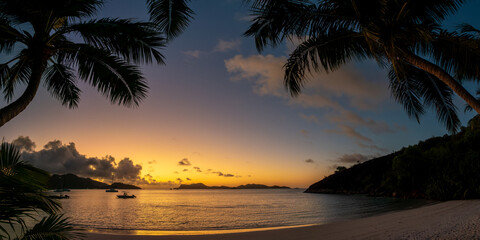 Fototapeta premium Palm tree and sailing boats at sunset in Praslin island, Seychelles panorama