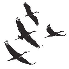 set of birds