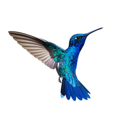 PNG A flying blue hummingbird photography birdwatching colorful