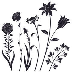 vector set of flowers