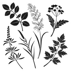 seamless pattern with leaves