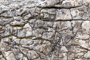 Close-up of weathered rocky surface with cracks and textures