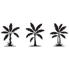 Obraz premium palm tree vector illustration