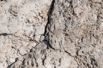 Close-up of textured natural rock surface with cracks and erosion details