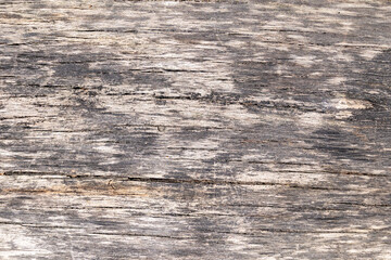 Weathered wooden texture with natural patterns and aged surface