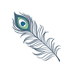vector illustration of feather