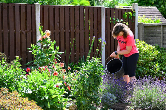 A gardener responding appropriately and caringly within the contect of global warming.