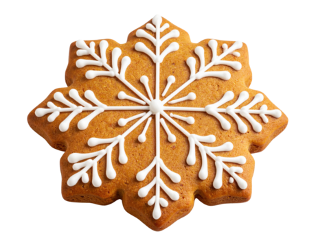 A snowflake-shaped gingerbread cookie decorated with intricate white icing patterns resembling branches and dots.