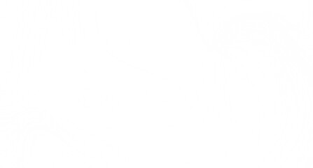 Clean, simple white texture. Perfect for backgrounds and designs.