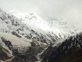 Serene Himalayan Gorge with Snow and Pines
