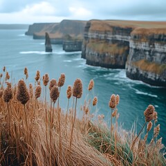 Dramatic coastal cliffs, ocean waves crash against rugged shoreline, dried grasses in foreground