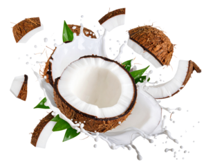 Exploding Coconut with Milk Splashing Out in All Directions, Top-Down View, Isolated on Transparent Background