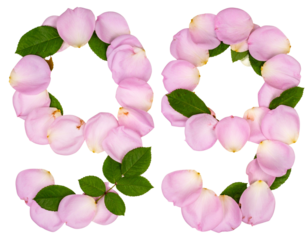  999 in Pink Rose Petals and Green Leaves, Soft Botanical Layout, Transparent Background