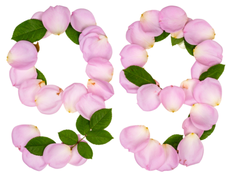  999 in Pink Rose Petals and Green Leaves, Soft Botanical Layout, Transparent Background