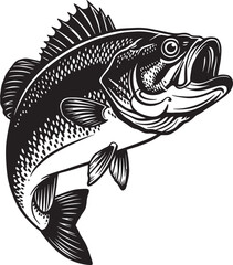 Fototapeta premium Largemouth bass jumping black and white vector illustration