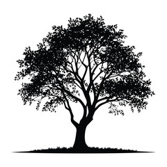 Obraz premium Silhouette Trees Vector – Black Tree Shapes Collection for Design and Illustration