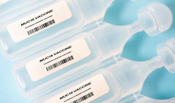 MUC16 Vaccine