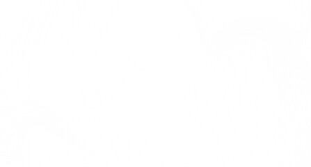 Fototapeta premium Clean, minimalist white texture. Perfect for backgrounds, websites, and designs.