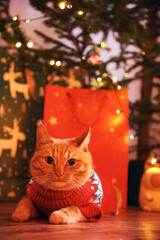 A ginger cat in a red sweater is lying next to a Christmas tree and gift bags. The concept of a family Christmas, a happy new year, and a cozy home in winter. vertical photo, copy space