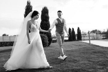 wedding dance of the bride and groom
