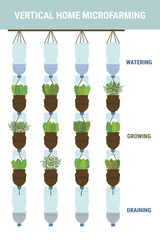 Infographic of self-watering plastic bottle planters on white background. Vertical garden, urban farming concept. Hand-drawn vector illustration