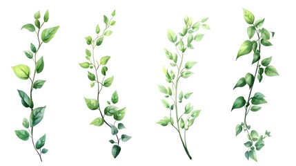 Delicate green vines with leaves in a watercolor style.