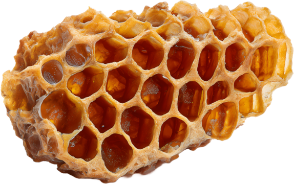 Close-up of a Natural Honeycomb with Fresh Honey