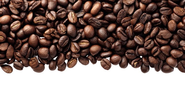 Close-up view of roasted coffee beans on a white background, highlighting their rich texture and dark color.