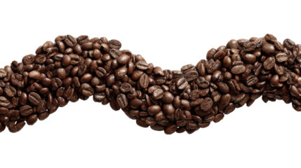 Curved line of fresh roasted coffee beans, isolated on white background.