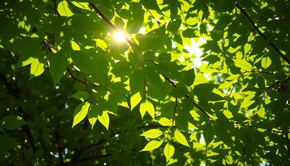 Sun-dappled vibrant green leaves, summer light,  shadows,  vibrant colors