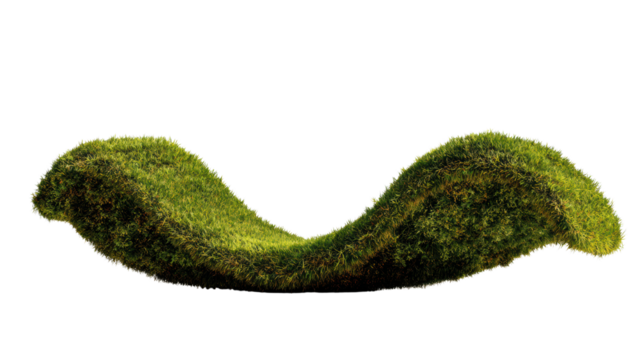 Organic moss shape on a white isolate background, ideal for nature-themed designs or eco-friendly projects.