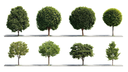 Set of eight diverse trees with various shapes and colors, ideal for landscape design and environmental themes.