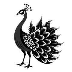 peacock vector illustration