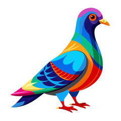 Pigeon vector illustration of a bird