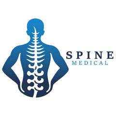 The Spine Anatomy and Function