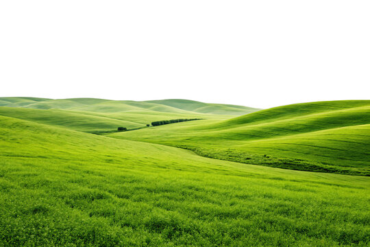 Rolling green hills landscape with lush grass meadows under bright sky creating pastoral scene, isolated on a transparent background