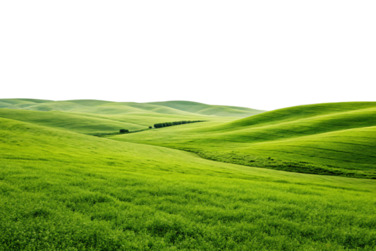 Rolling green hills landscape with lush grass meadows under bright sky creating pastoral scene, isolated on a transparent background - Powered by Adobe