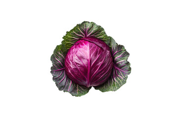 Obraz premium Red cabbage with bright purple interior and green outer leaves displaying natural texture and patterns, isolated on a transparent background